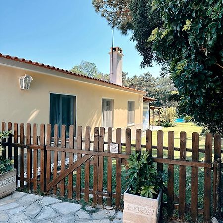 Casa Girassol With A Beautiful Private Pool And Garden Villa Sintra Buitenkant foto