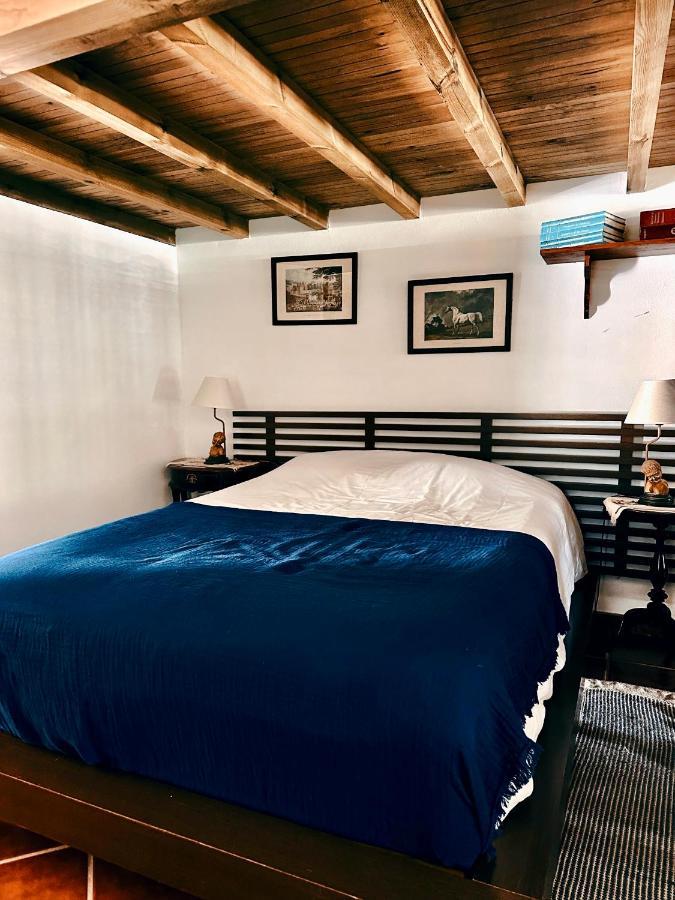 Casa Girassol With A Beautiful Private Pool And Garden Villa Sintra Buitenkant foto